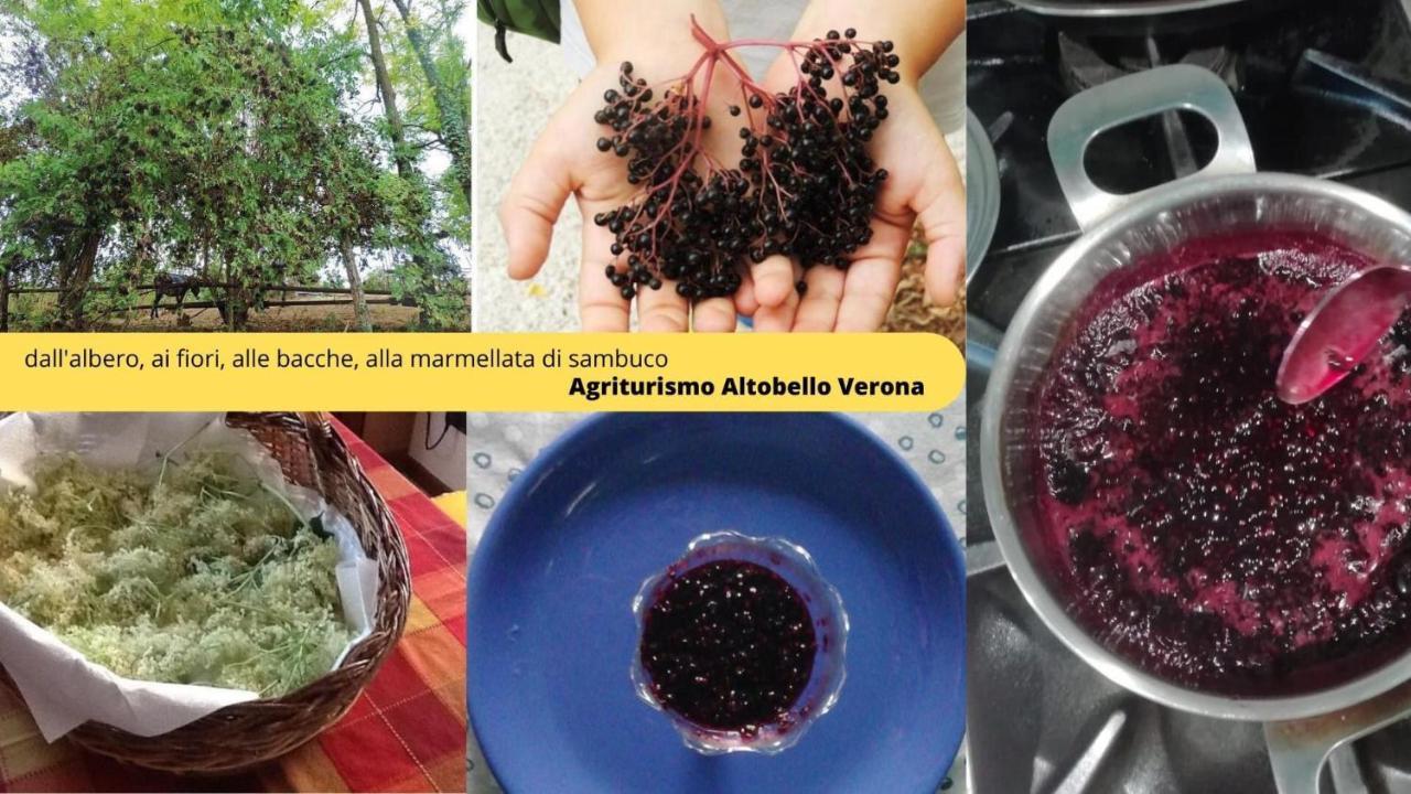 Agriturismo Altobello Verona Buitenkant foto