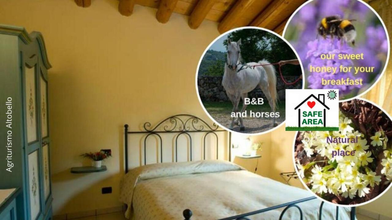 Agriturismo Altobello Verona Buitenkant foto